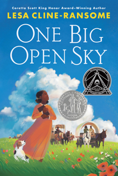 Hardcover One Big Open Sky Book