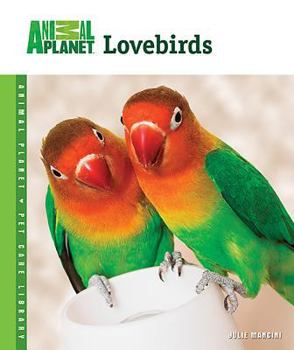 Hardcover Lovebirds Book