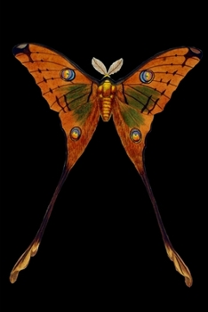 My Black Journal Vintage Butterfly Pocket-Sized