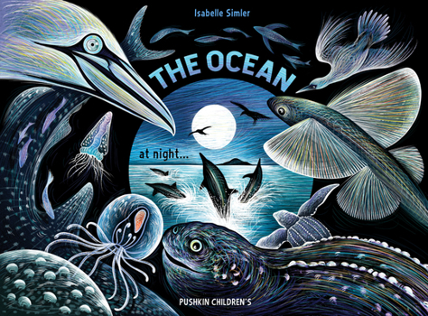 Hardcover The Ocean at Night Book