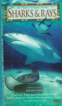 Hardcover Sharks & Rays Book