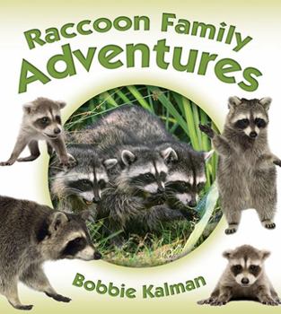 Paperback Raccoon Family Adventures Book
