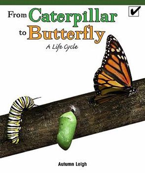 Paperback From Caterpillar to Butterfly: A Life Cycle Book