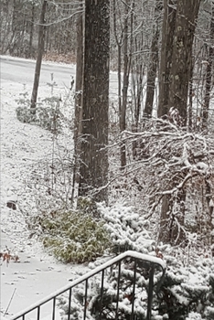 2020 Weekly Planner Winter Scene Snow Dusting 134 Pages: 2020 Planners Calendars Organizers Datebooks Appointment Books Agendas