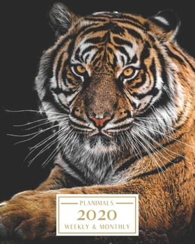 Paperback 2020: Weekly and Monthly Planner/Calendar Jan 2020 - Dec 2020 Fierce Tiger Book