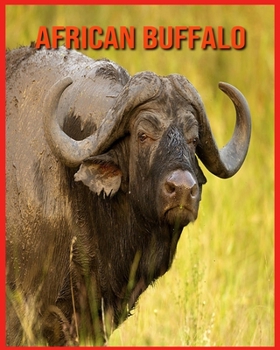 African Buffalo: Fun Facts & Cool Pictures