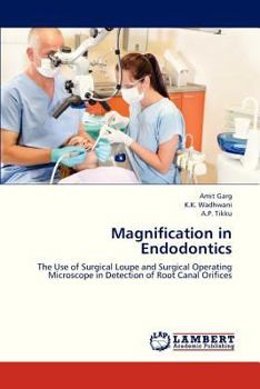 Paperback Magnification in Endodontics Book