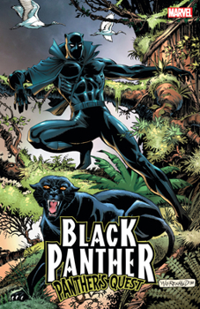Paperback Black Panther: Panther's Quest Book