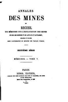 Paperback Annales des Mines - Tome V. [French] Book