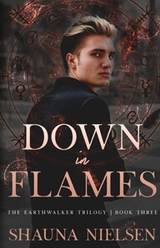 Paperback Down in Flames Book