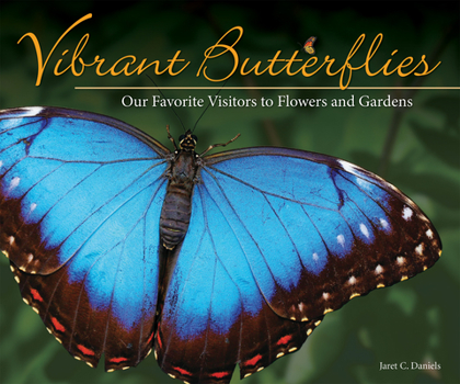 Paperback Vibrant Butterflies: Our Favorite Visitors to Flowers and Gardens Book