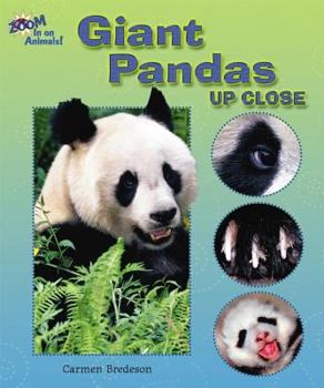 Library Binding Giant Pandas Up Close Book