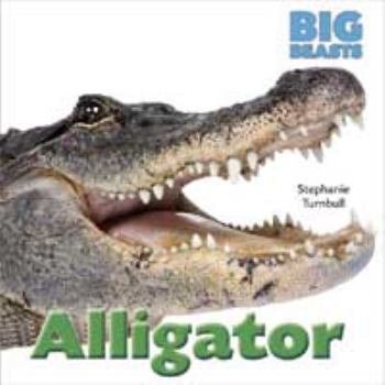 Paperback Alligator Book