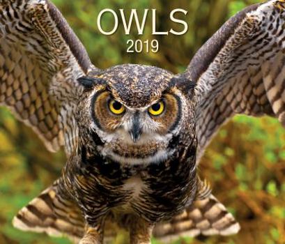 Calendar Owls 2019 Book