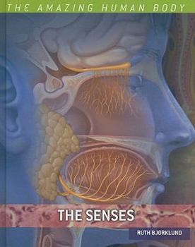 The Senses - Book  of the Amazing Human Body