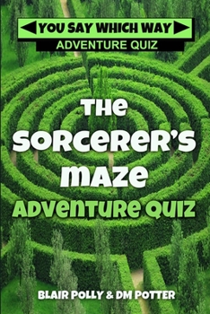 The Sorcerer's Maze - Book #1 of the Sorcerer's Maze