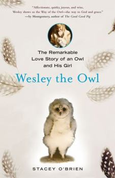 Hardcover Wesley the Owl: The Remarkable Love Story of an Owl and His Girl Book