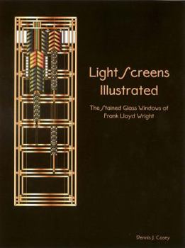 Hardcover Light Screens Illustrated: The Stained Glass Windows of Book