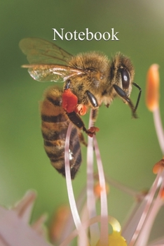 Paperback Notebook: Notebook Bee - Fun gift for someone's birthday, perfect present for a friend or a family member. Blank Lined Journal, Book