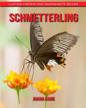 Butterfly: Fun Facts and Amazing Pictures
