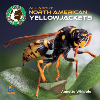 All about North American Yellowjackets (Insects Around the World: North America)
