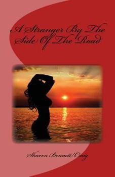 Paperback A Stranger By The Side Of The Road Book