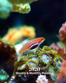 Paperback 2020 Weekly and Monthly Planner: Fish and Reef - Monthly Calendar with U.S./UK/ Canadian/Christian/Jewish/Muslim Holidays- Calendar in Review/Notes 8 Book