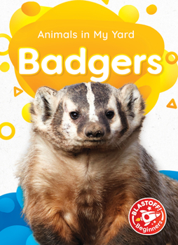 Library Binding Badgers Book