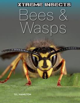 Library Binding Bees & Wasps Book