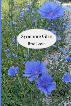 Paperback Sycamore Glen Book