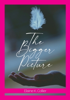 Paperback The Bigger Picture Book