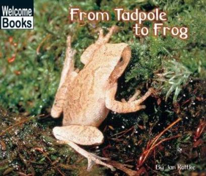 Paperback From Tadpole to Frog Book