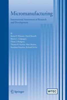 Paperback Micromanufacturing: International Research and Development Book