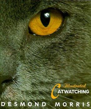 Hardcover Illustrated Catwatching Book