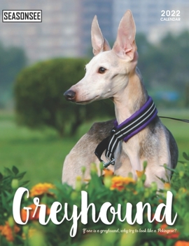 Paperback Greyhound Calendar 2022: Gifts for Friends and Family with 18-month Monthly Calendar in 8.5x11 inch Book