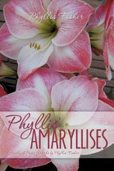 Paperback Phyllis' Amaryllises Book