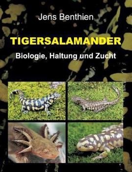 Paperback Tigersalamander: Biologie, Haltung und Zucht [German] Book