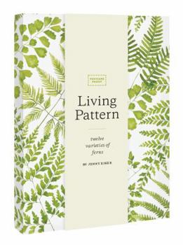 Card Book Living Pattern Postcard Packet Book