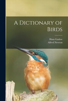 Paperback A Dictionary of Birds Book