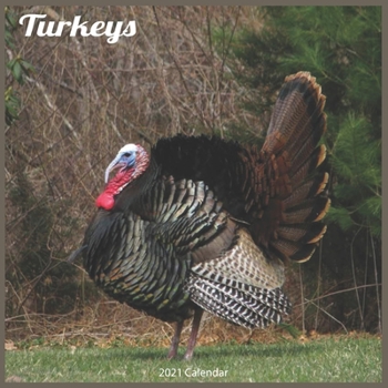 Paperback Turkeys 2021 Calendar: Official Turkeys Calendar 2021 Wall Calendar Book