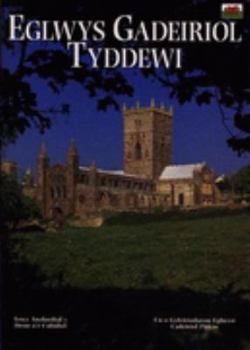 Paperback Eglwys Gadeiriol Tyddewi (St David's Cathedral) [Welsh] Book