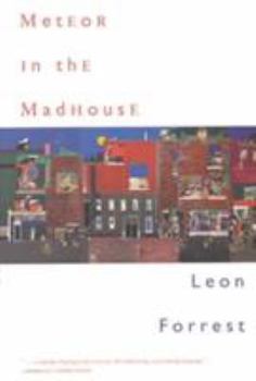 Hardcover Meteor in the Madhouse Book