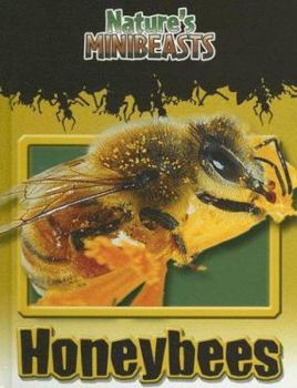 Honeybees (Nature's Minibeasts)