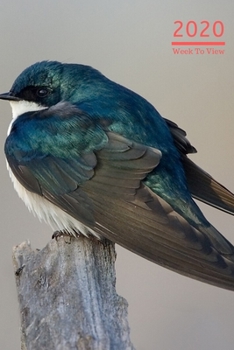 2020 A5 Diary Week To View Planner For All Occasions: | Year Planner For Business, Office, Home, University, College, School, Appointments, Organizer.