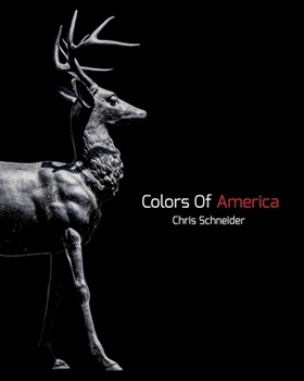 Paperback Colors Of America: Photography Zine Book