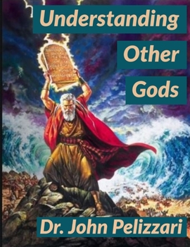 Paperback Understanding Other Gods Book