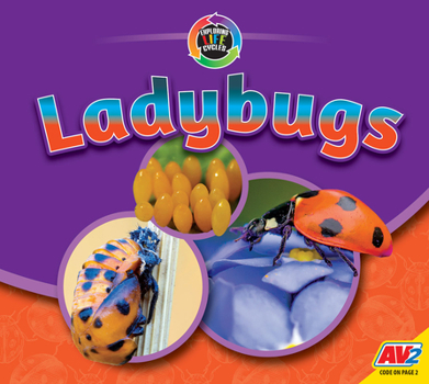 Ladybugs - Book  of the Fascinating Insects