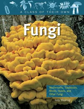 Hardcover Fungi: Mushrooms, Toadstools, Molds, Yeasts, and Other Fungi Book