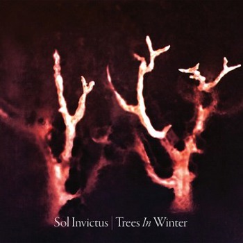 Music - CD Trees In Winter Book