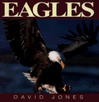 Hardcover Eagles Book